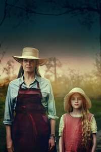 The Lost Flowers of Alice Hart - Posters