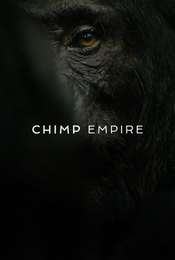 Chimp Empire