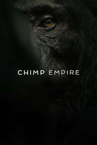 Chimp Empire - Posters