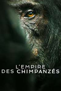 Chimp Empire - Posters