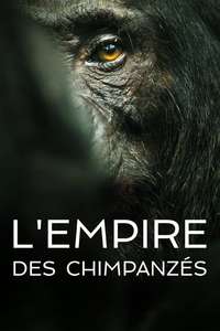 Chimp Empire - Posters