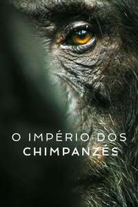 Chimp Empire - Posters