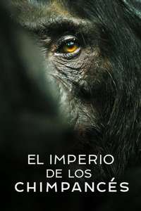 Chimp Empire - Posters