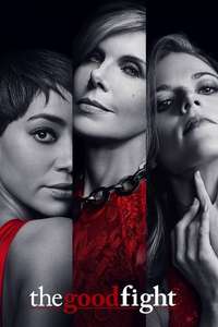 The Good Fight - Posters