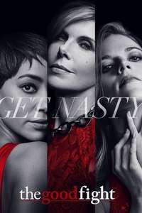The Good Fight - Posters