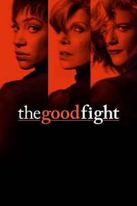 The Good Fight - Posters