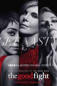 The Good Fight - Posters