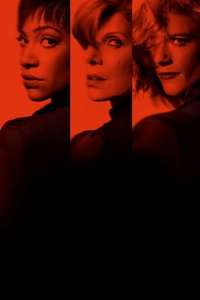 The Good Fight - Posters