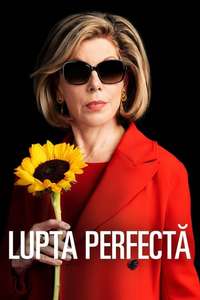 The Good Fight - Posters