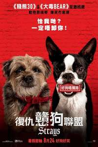 Strays - Posters