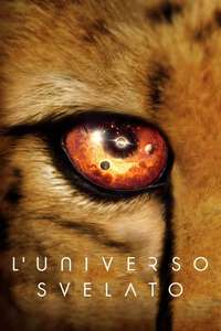 Our Universe - Posters