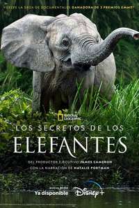 Secrets of The Elephants - Posters