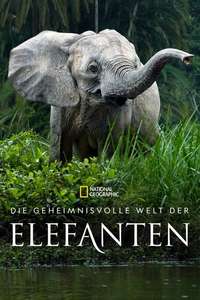 Secrets of The Elephants - Posters