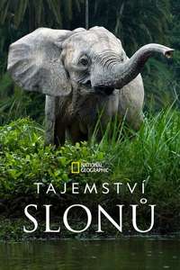 Secrets of The Elephants - Posters