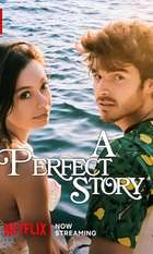 A Perfect Story