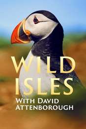 Wild Isles Season 1