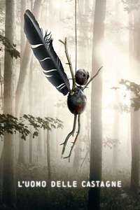 The Chestnut Man - Posters