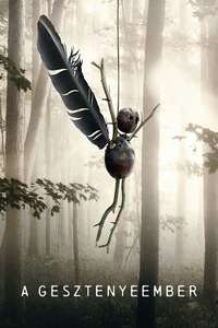 The Chestnut Man - Posters