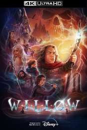 Willow