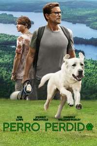 Dog Gone - Poster