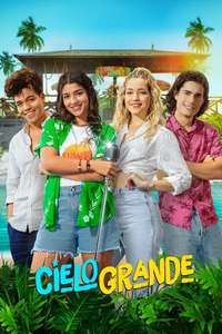 Secrets of Summer - Posters