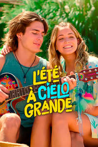 Secrets of Summer - Posters