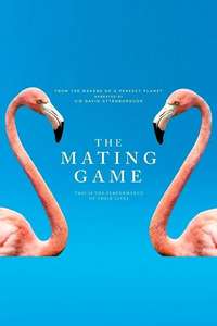The Mating Game - Posters