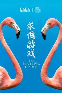The Mating Game - Posters