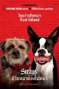 Strays - Posters