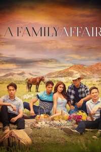 A Family Affair - Posters