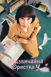 Extraordinary Attorney Woo - Posters