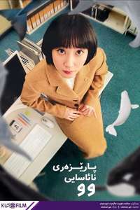 Extraordinary Attorney Woo - Posters
