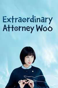 Extraordinary Attorney Woo - Posters