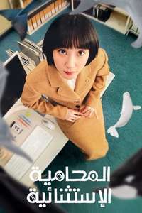 Extraordinary Attorney Woo - Posters