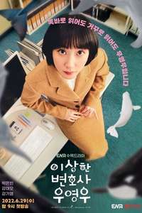 Extraordinary Attorney Woo - Posters