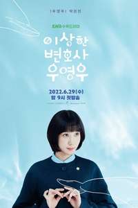 Extraordinary Attorney Woo - Posters