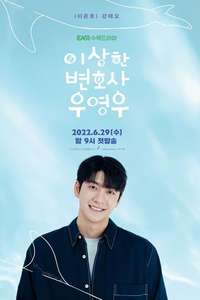 Extraordinary Attorney Woo - Posters