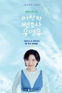 Extraordinary Attorney Woo - Posters