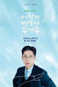 Extraordinary Attorney Woo - Posters