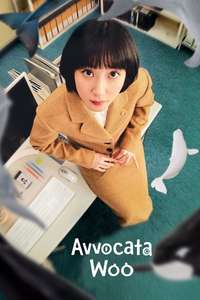 Extraordinary Attorney Woo - Posters