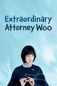 Extraordinary Attorney Woo - Posters