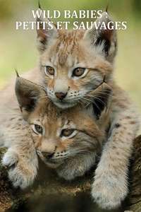 Wild Babies - Posters