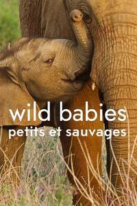 Wild Babies - Posters