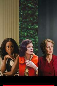 The First Lady - Posters
