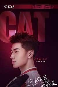 Falling Into Your Smile - Posters