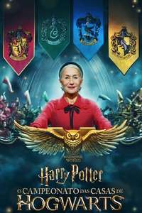 Harry Potter: Hogwarts Tournament of Houses - Posters