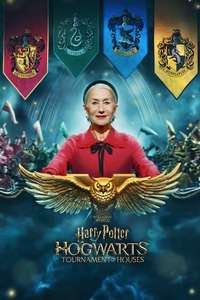 Harry Potter: Hogwarts Tournament of Houses - Posters