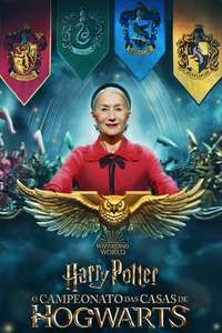 Harry Potter: Hogwarts Tournament of Houses - Posters