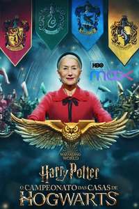 Harry Potter: Hogwarts Tournament of Houses - Posters