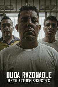 Reasonable Doubt: A Tale of Two Kidnappings - Posters
